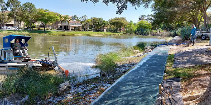Shoreline Restoration with Truxor Harvester